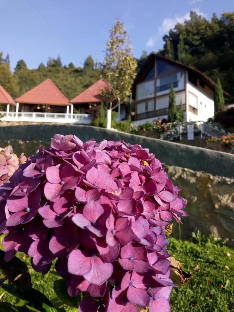 Hotel Cabanas El Rincon De Las Campanas Nobsa Екстер'єр фото